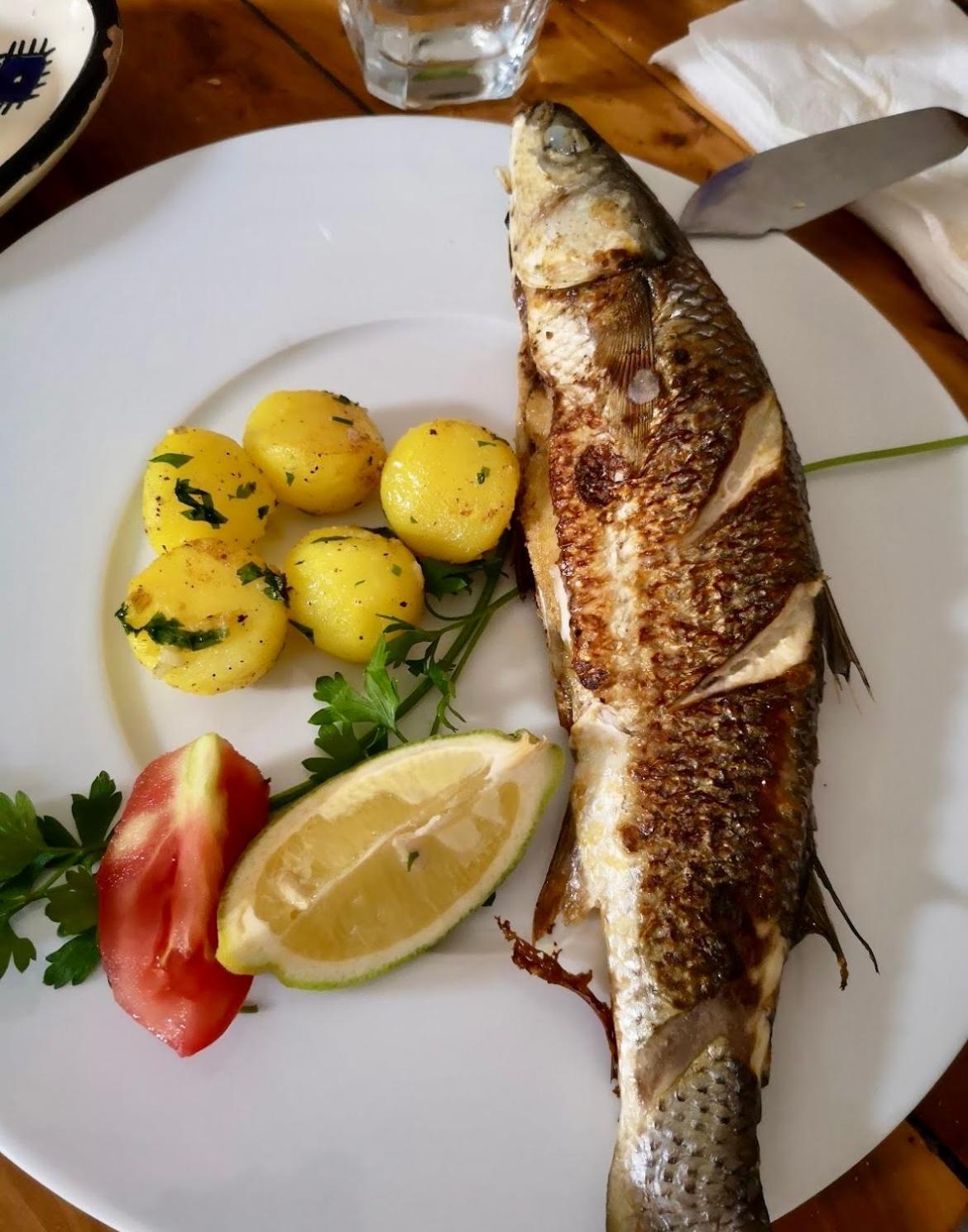 L'Artisan 호텔 Harqalah 외부 사진